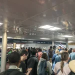 Schengen EES disruption leaves passengers stranded and airports likely to suspend biometric screening