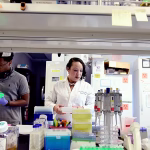 Cancer and carcinogenic viruses found in wastewater: 'a breakthrough possibility for prevention'