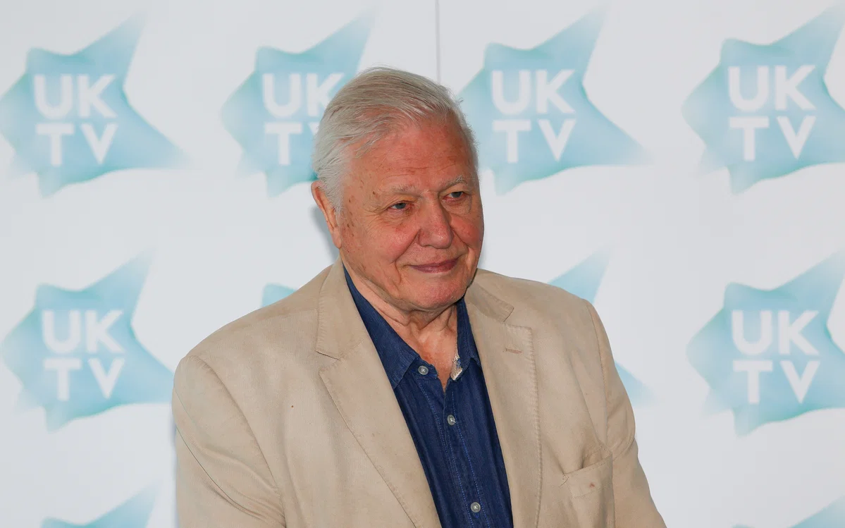 Sir David Attenborough turns 100: the world's most popular broadcaster, naturalist and environmental activist celebrates