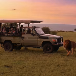 Africa's most popular new safari lodge redefines luxury travel in nature