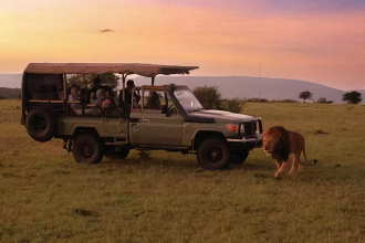 Africa's most popular new safari lodge redefines luxury travel in nature