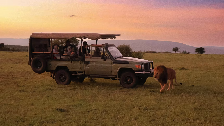 Africa's most popular new safari lodge redefines luxury travel in nature