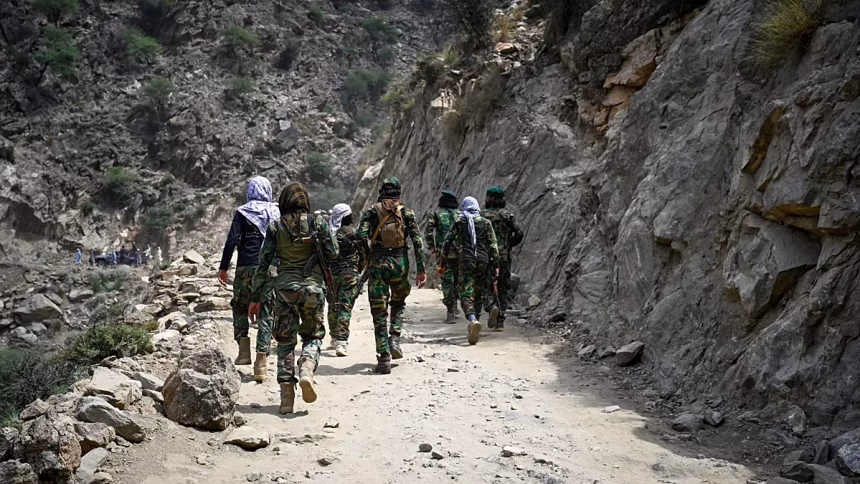 EU migration commissioner says there is no choice but to talk to Taliban about returning migrants