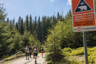 Forget about the Camino de Santiago. Romania's Via Transylvanica hiking trails are wild, intimate and tranquil