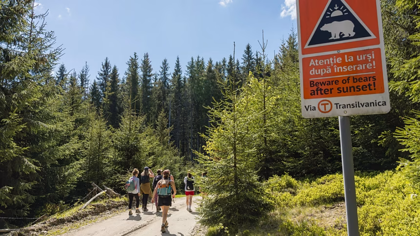Forget about the Camino de Santiago. Romania's Via Transylvanica hiking trails are wild, intimate and tranquil