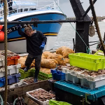 French fishermen flock to Cherbourg as fishing sector faces multiple challenges