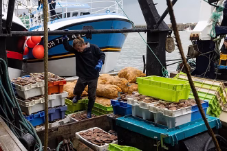 French fishermen flock to Cherbourg as fishing sector faces multiple challenges
