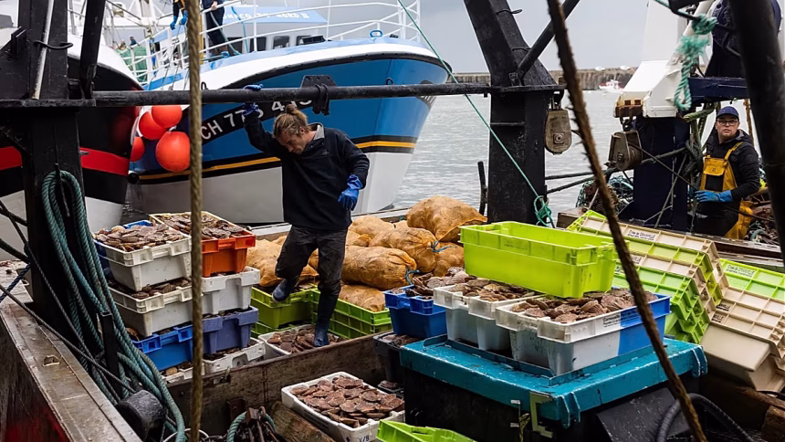 French fishermen flock to Cherbourg as fishing sector faces multiple challenges