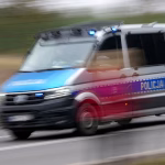 More than 30 human remains found in Polish village