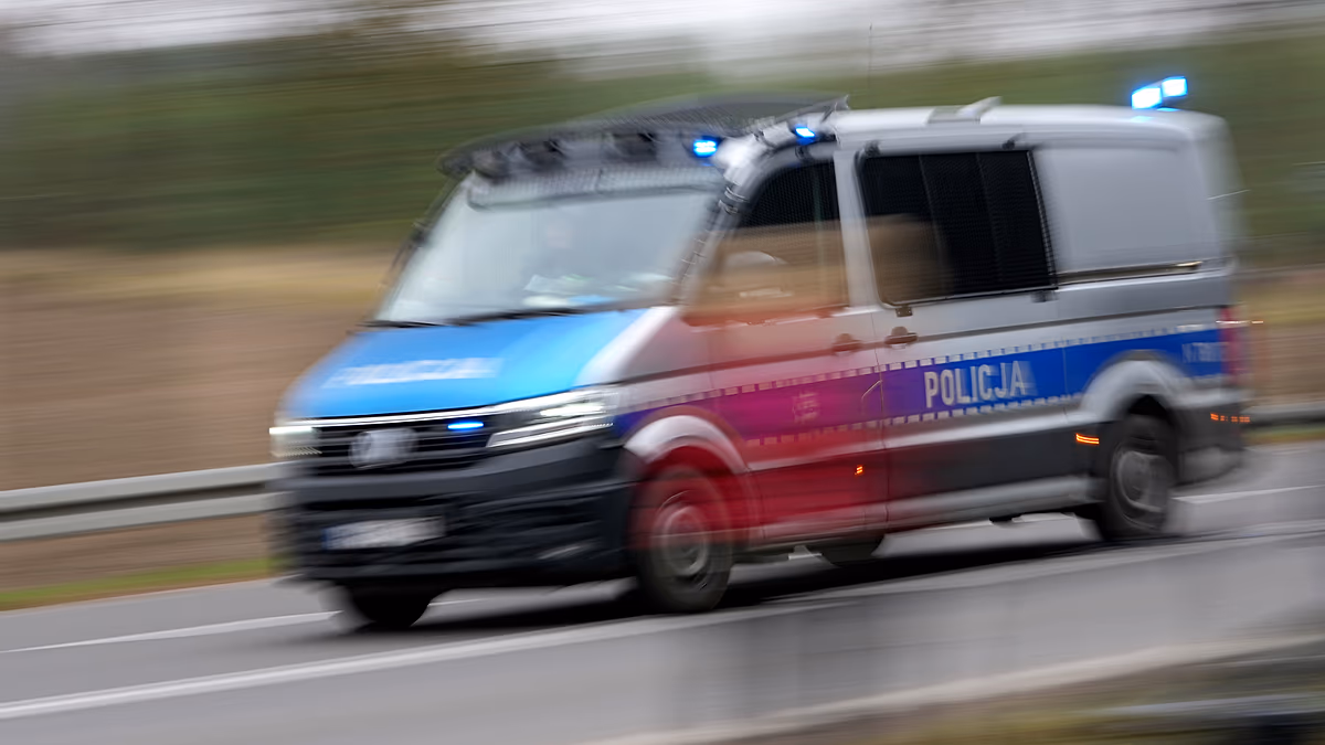 More than 30 human remains found in Polish village