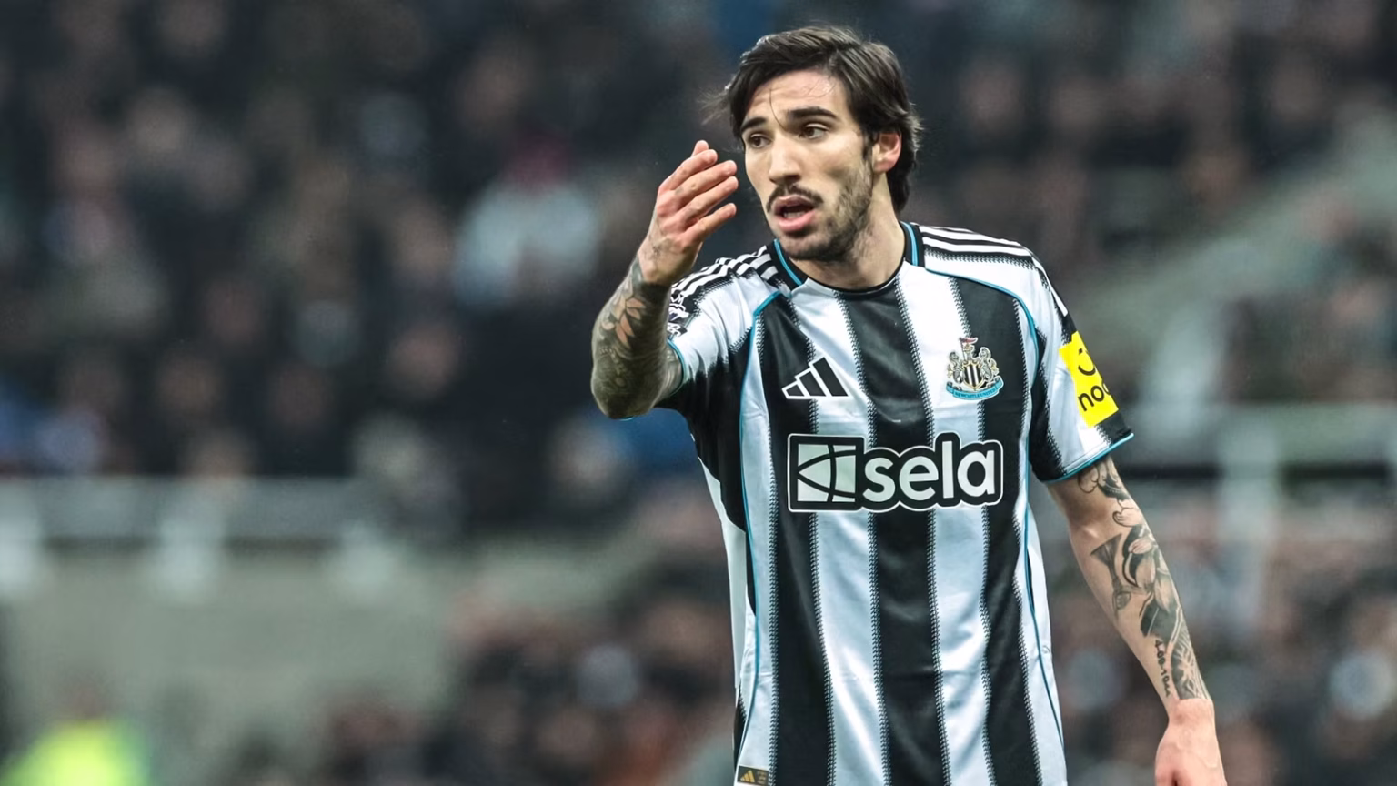 Their new Tonali: Newcastle call for 'full' £39m star signing