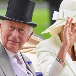 What King Charles' historic tax disclosures reveal and hide