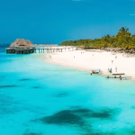 Zanzibar travel guide: things to do, where to stay, tips for visitors
