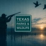 Texas govt data breach exposes over 3 million driver’s licenses