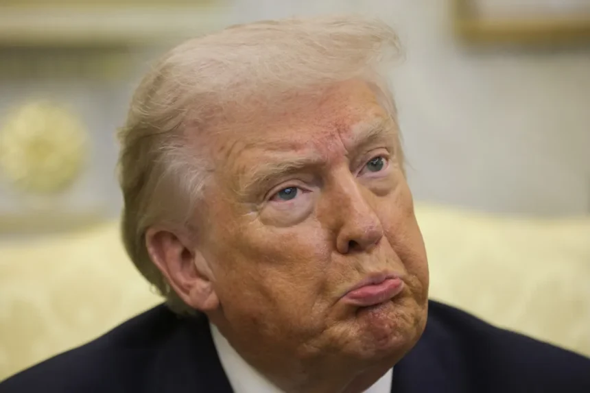 President Donald Trump