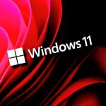 Windows 11