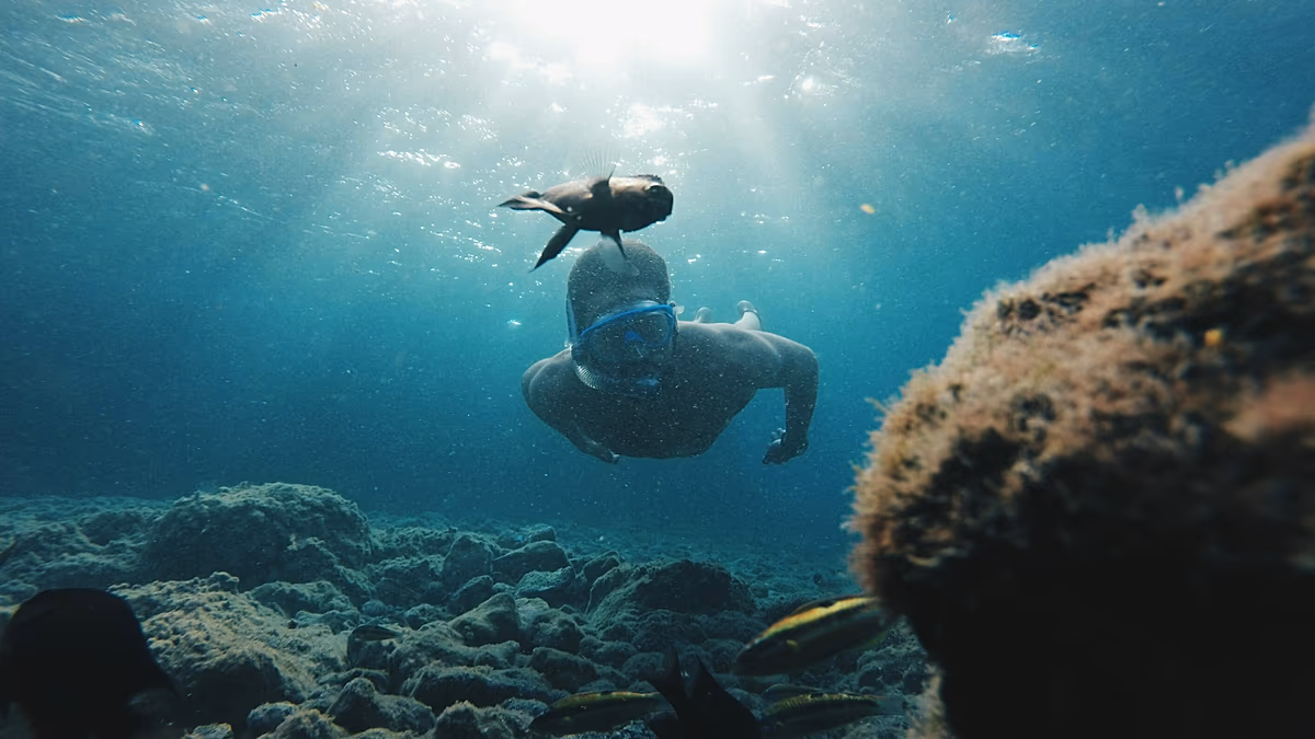 Canary Islands' new voluntary tourism tax will fund local sustainability projects
