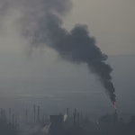 Global oil demand expected to decline for the first time since the coronavirus pandemic, IEA says
