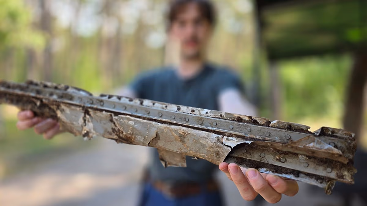 Go berry picking and discover evidence of mysterious Allied plane crash in Poland