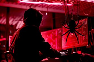 Spider hacker
