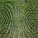 Hungary opens 4.5-hectare fairy-tale-themed corn maze for tourists to explore