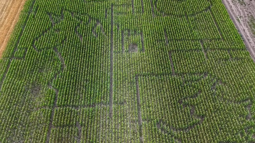 Hungary opens 4.5-hectare fairy-tale-themed corn maze for tourists to explore