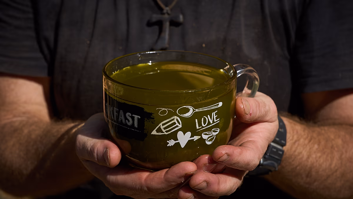 Morocco increases olive oil sales in Spain by 100 times: is it dominating the market?