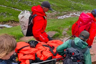 Hike on Labrador's Ben Nevis ends in mountain rescue after unexpected 'high'