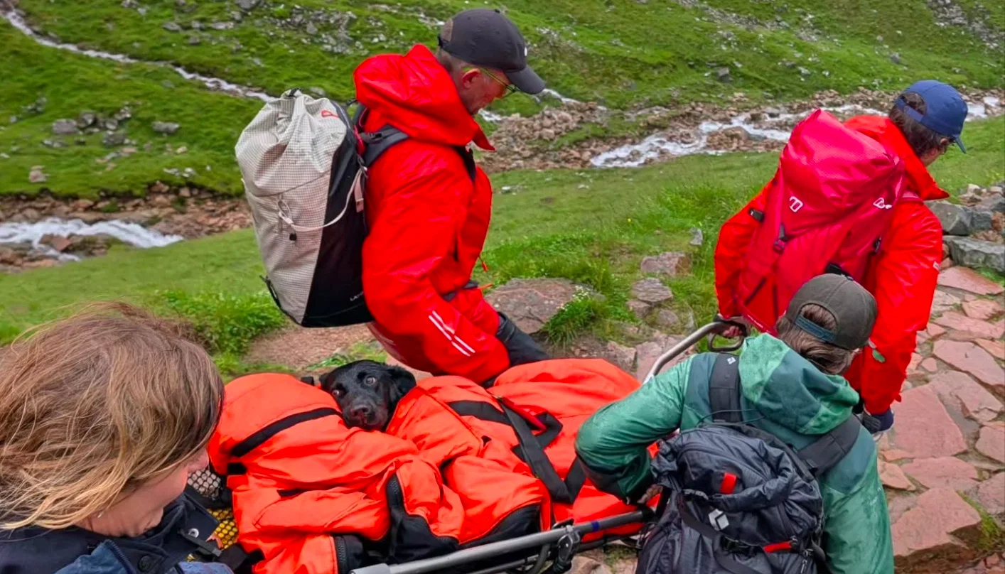 Hike on Labrador's Ben Nevis ends in mountain rescue after unexpected 'high'
