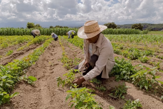 United Nations says war-induced energy and fertilizer crises will continue to accelerate food inflation