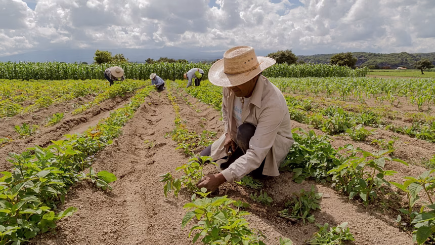 United Nations says war-induced energy and fertilizer crises will continue to accelerate food inflation