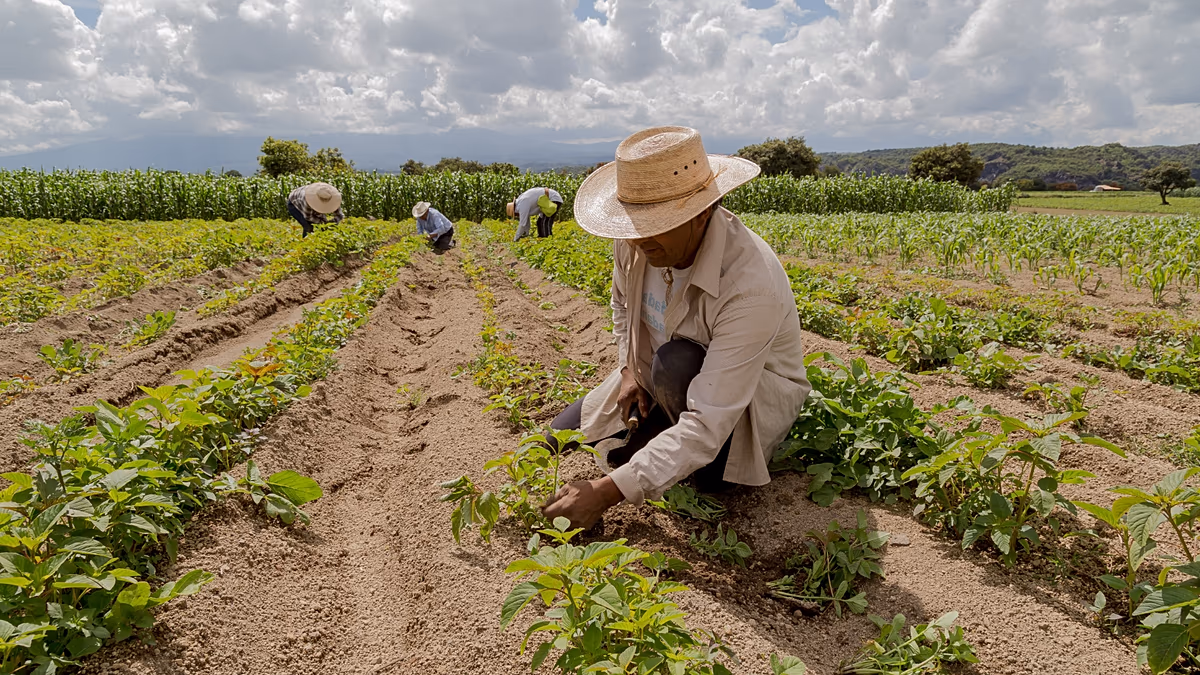 United Nations says war-induced energy and fertilizer crises will continue to accelerate food inflation