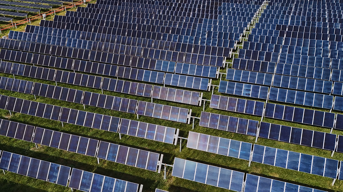 Why is Europe still wasting clean energy? Take our survey
