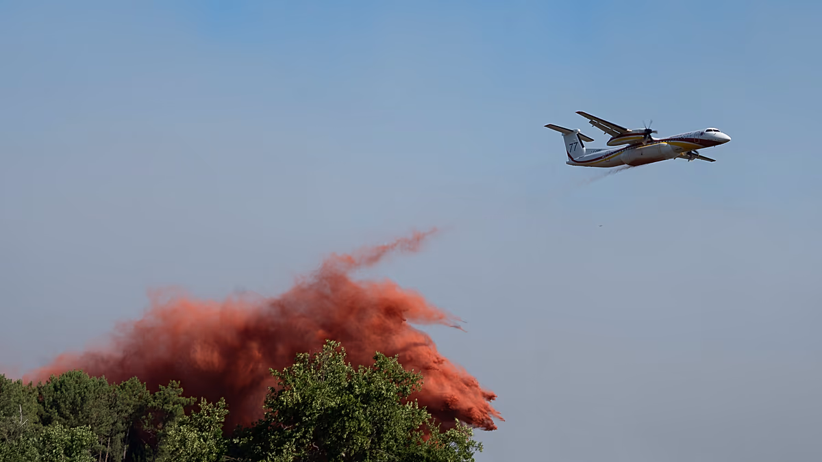 Wildfires cause mass evacuations across France and Spain