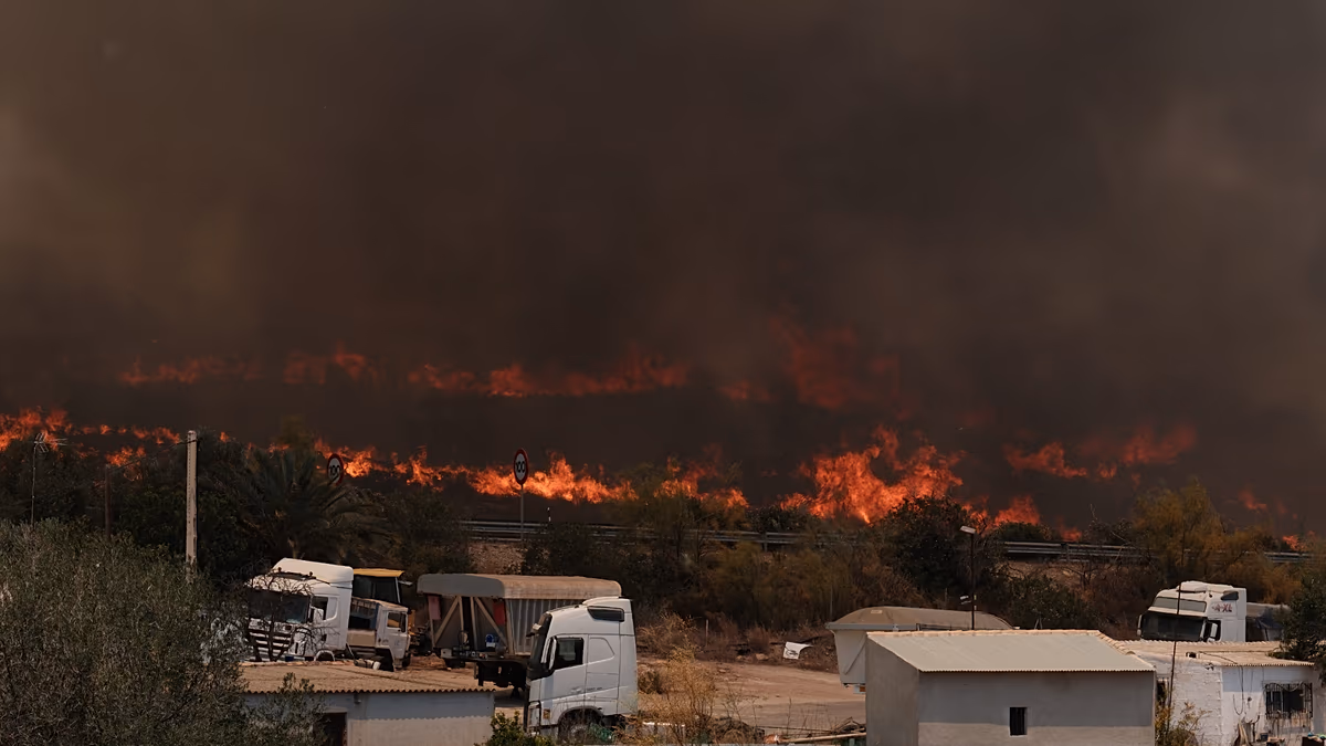 Wildfires in Spain: Zaragoza wildfire burns over 15,400 hectares
